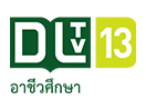 DLTV 13