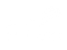 Cruise 1st TV