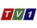 TV1 България